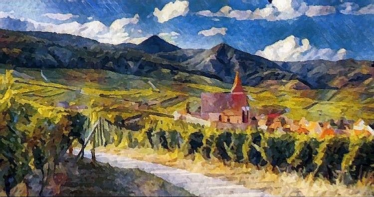 Vignoble &agrave; Hunawhir par Dan Kopel